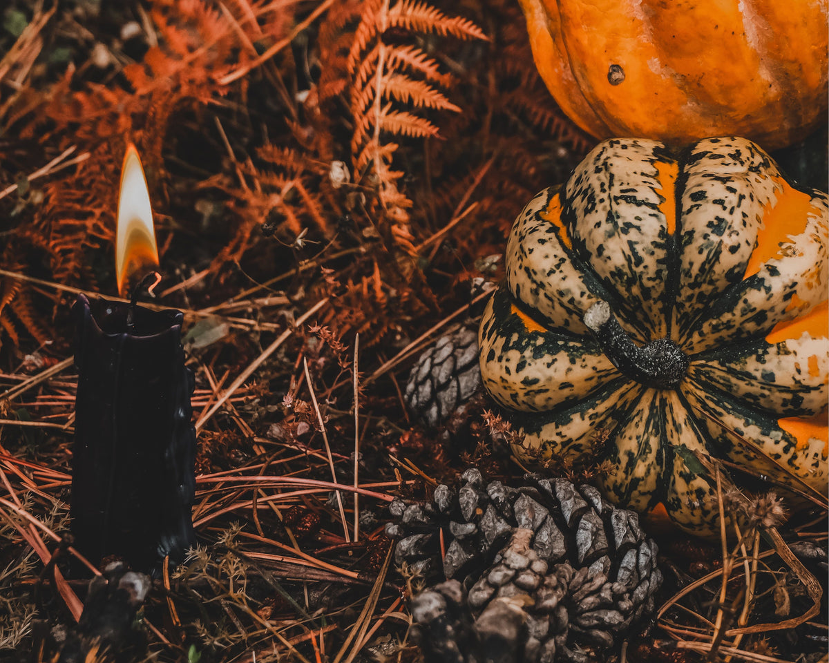 A styled autumn still life featuring two gourds stacked on top of each other, with a lit black candle and pinecones on a bed of pine needles and dried ferns.